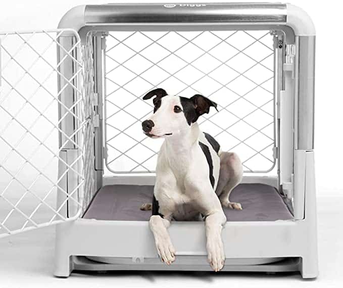 Dog Crates