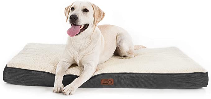 20 Interior Design Tips for a Pet-Friendly home - photo 2