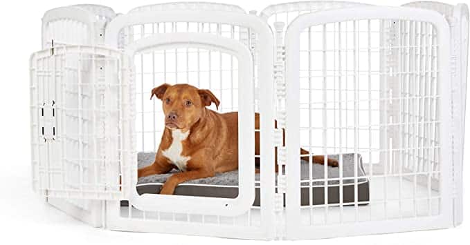 Dog Playpen - photo 2