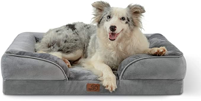 20 Interior Design Tips for a Pet-Friendly home