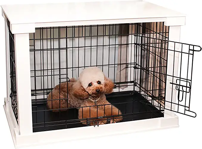 Dog Crates - photo 3