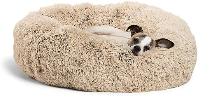 20 Interior Design Tips for a Pet-Friendly home - photo 3