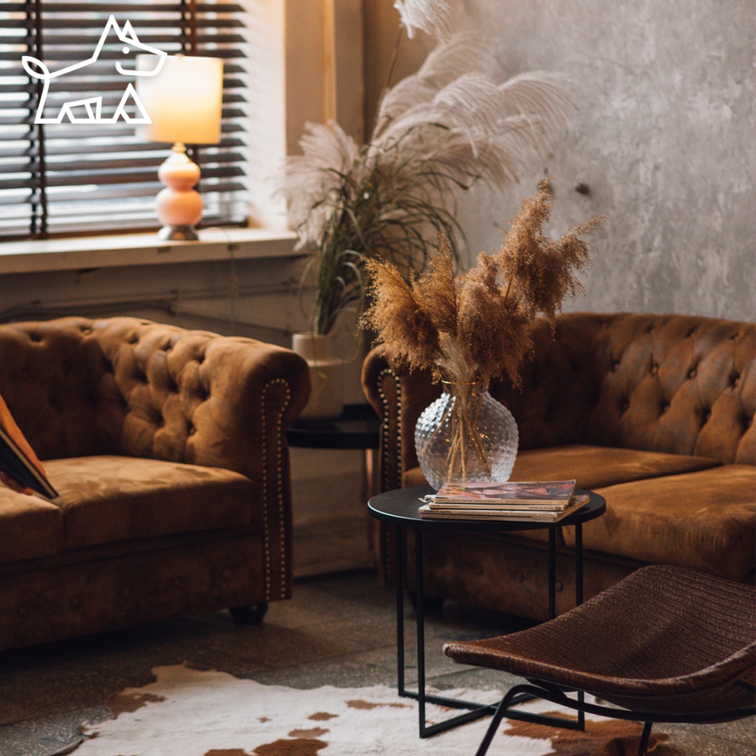 Amazing Psychological Effects of Color in Pet-Friendly Interiors - photo 5