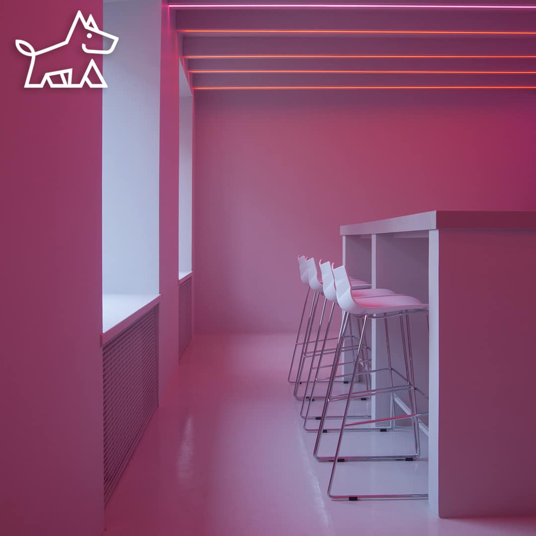 Amazing Psychological Effects of Color in Pet-Friendly Interiors - photo 4