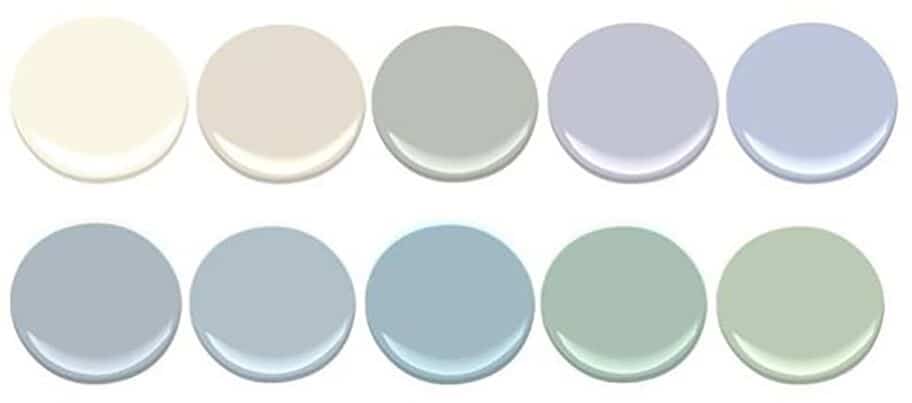 What are the Psychological Effects of Colors in Dogs?