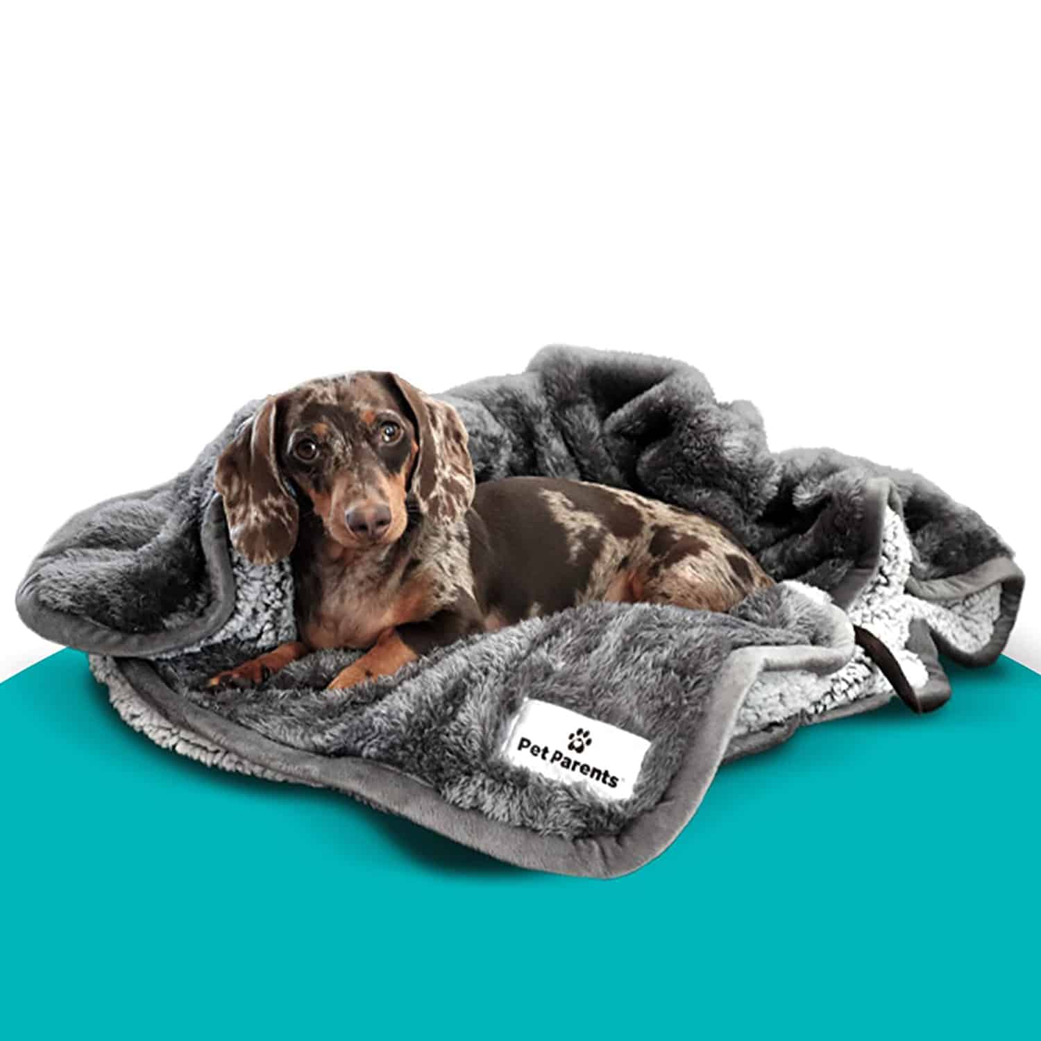 pet friendly blanket