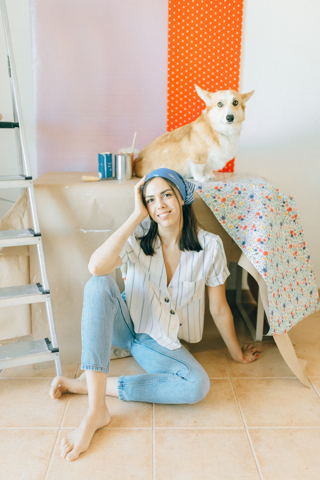 What are the Effects of Patterns on Dogs?