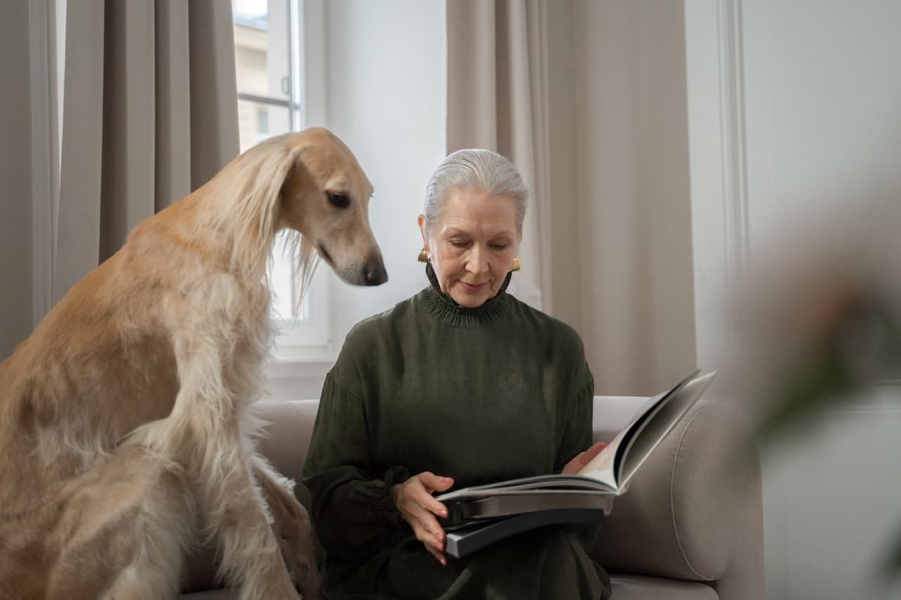 Amazing Psychological Effects of Space Perception in Pet-Friendly Interiors