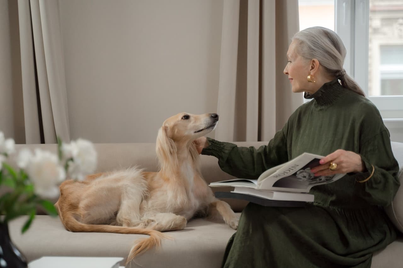 Is Dog Space Perception similar to Humans’?