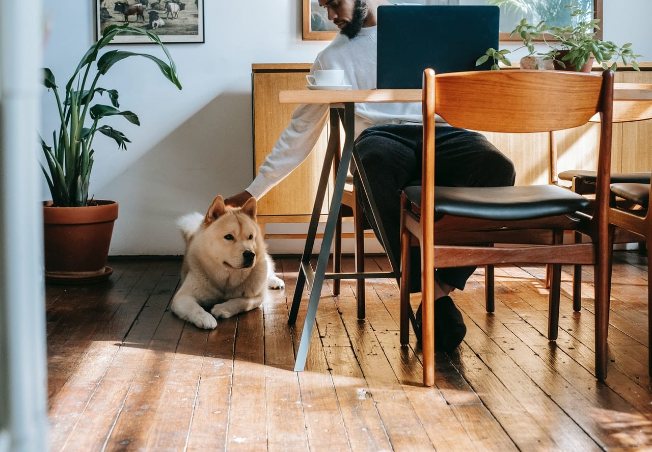 Maintain Your Dog’s Food and Water Area