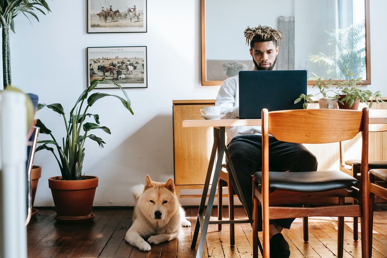 10 Best Pet-Friendly Flooring Options for Your Home