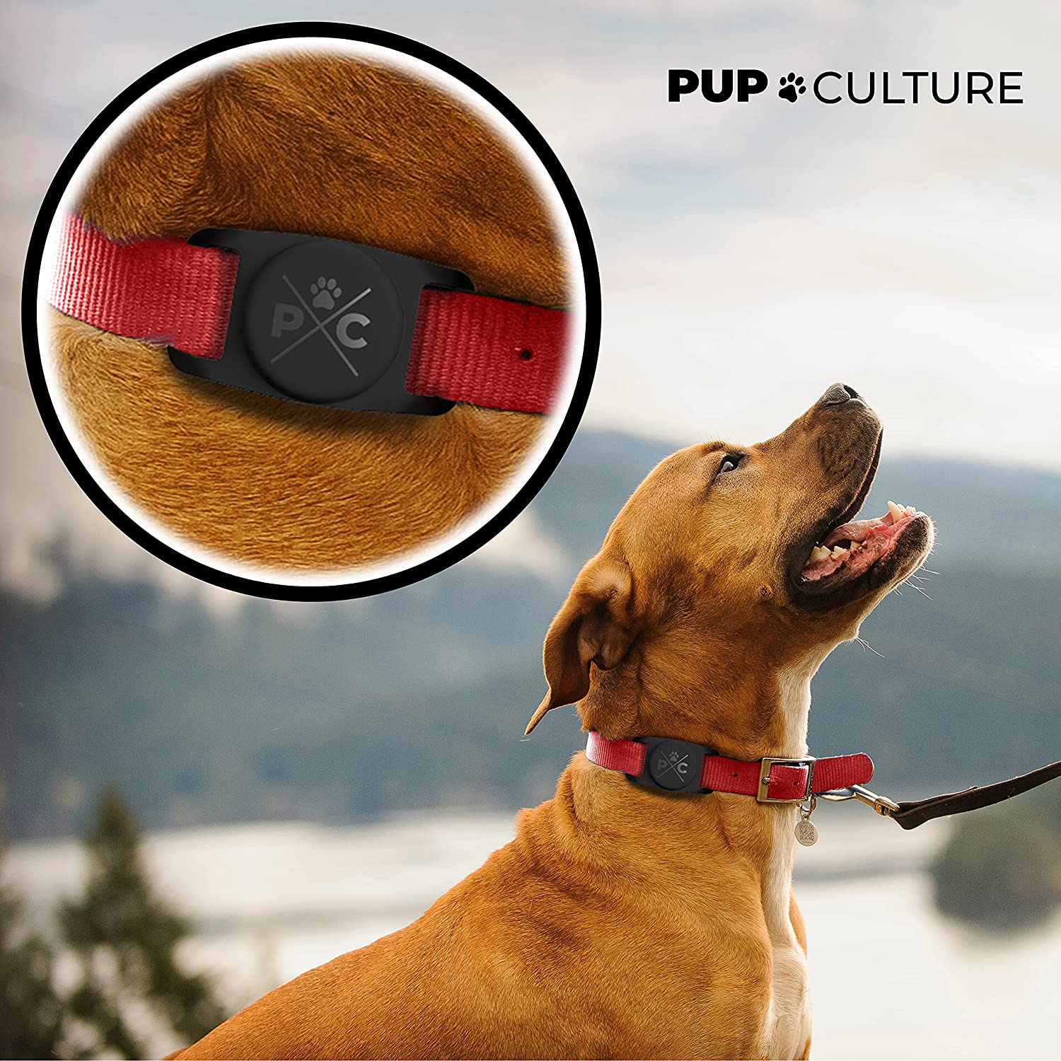 Recommended Airtag Dog Collars - photo 3