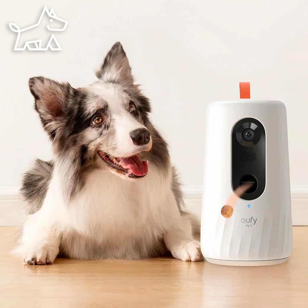Are Dog-Treat Dispensing Cameras worth it