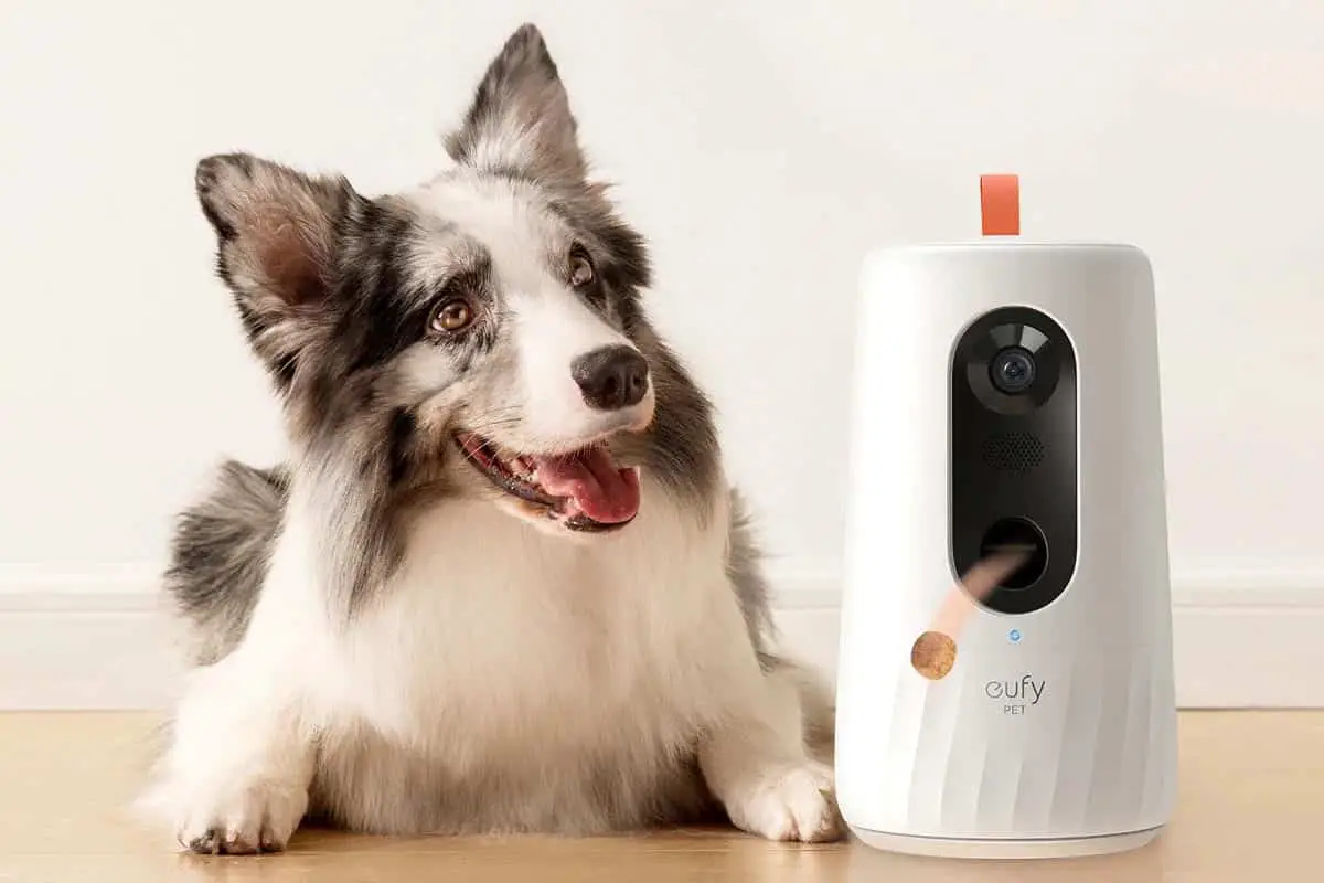 Dog Treat Dispensing Cameras