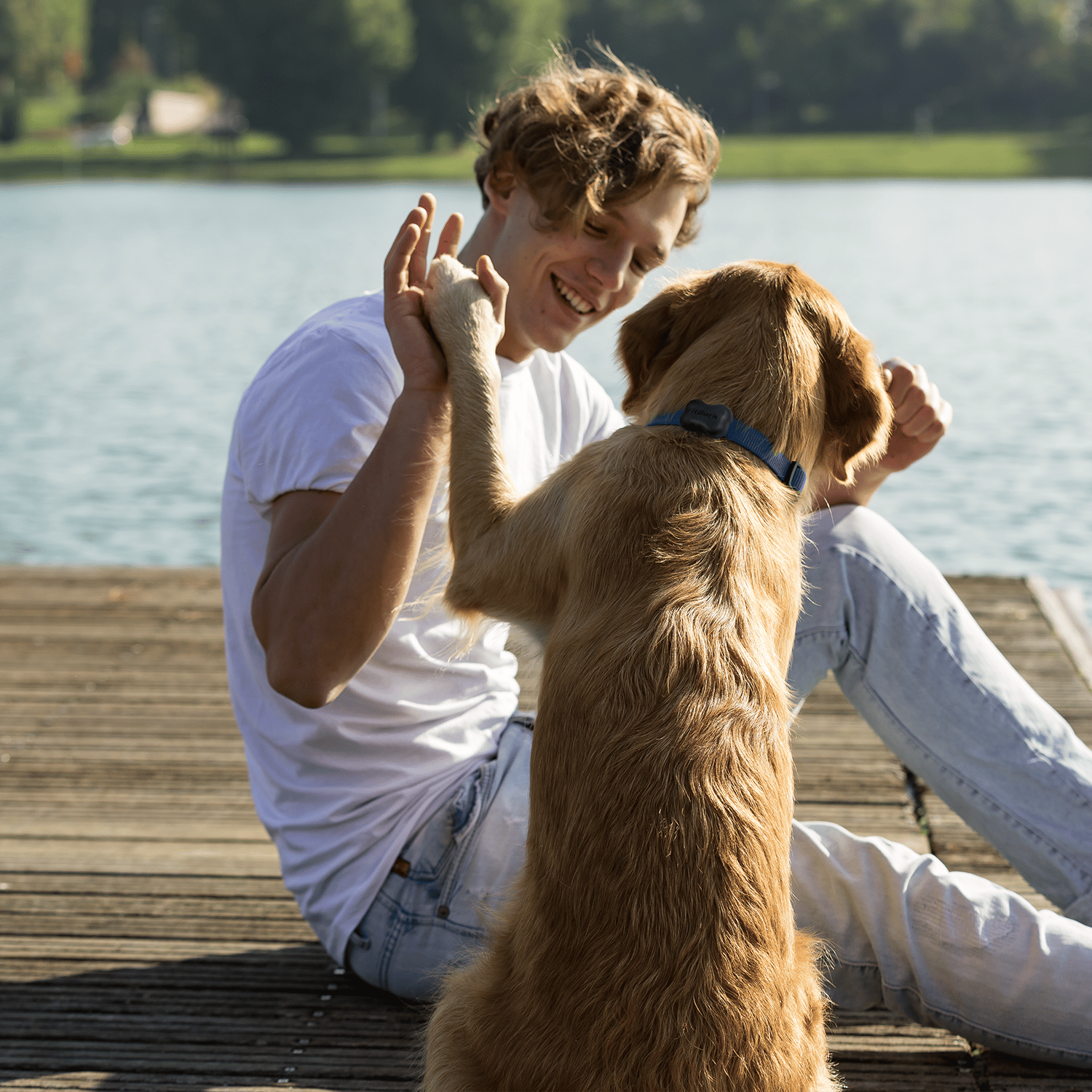 Brand: FitBark - photo 2