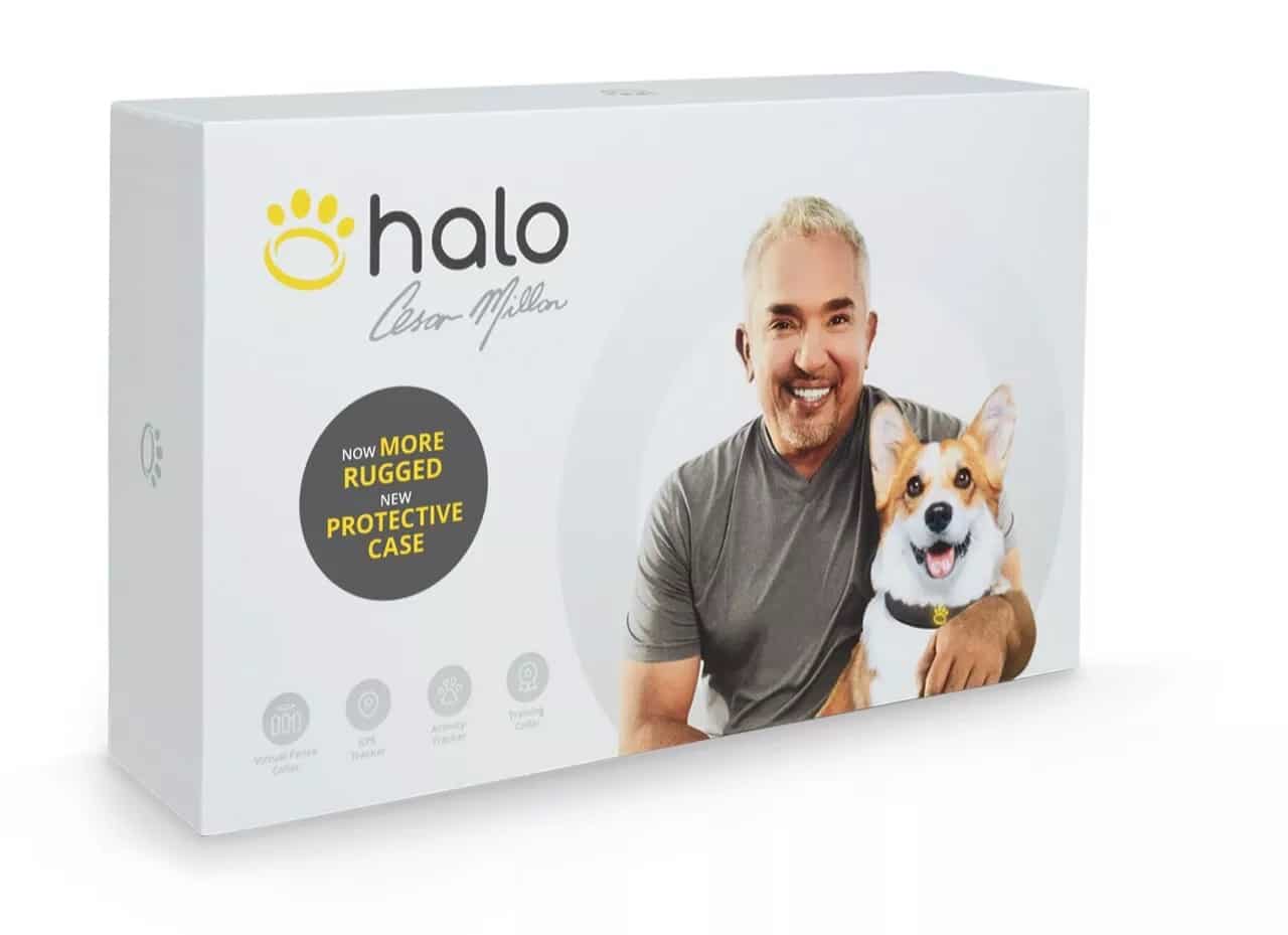 Brand: Halo