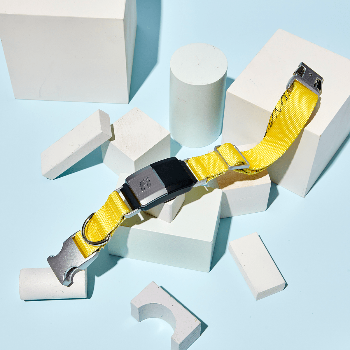 Brand: Fi Smart Dog Collar