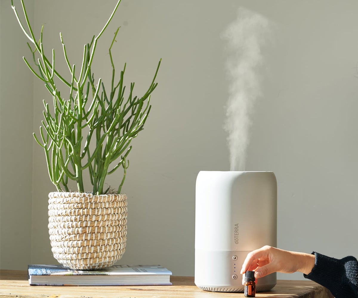 Best Humidifiers