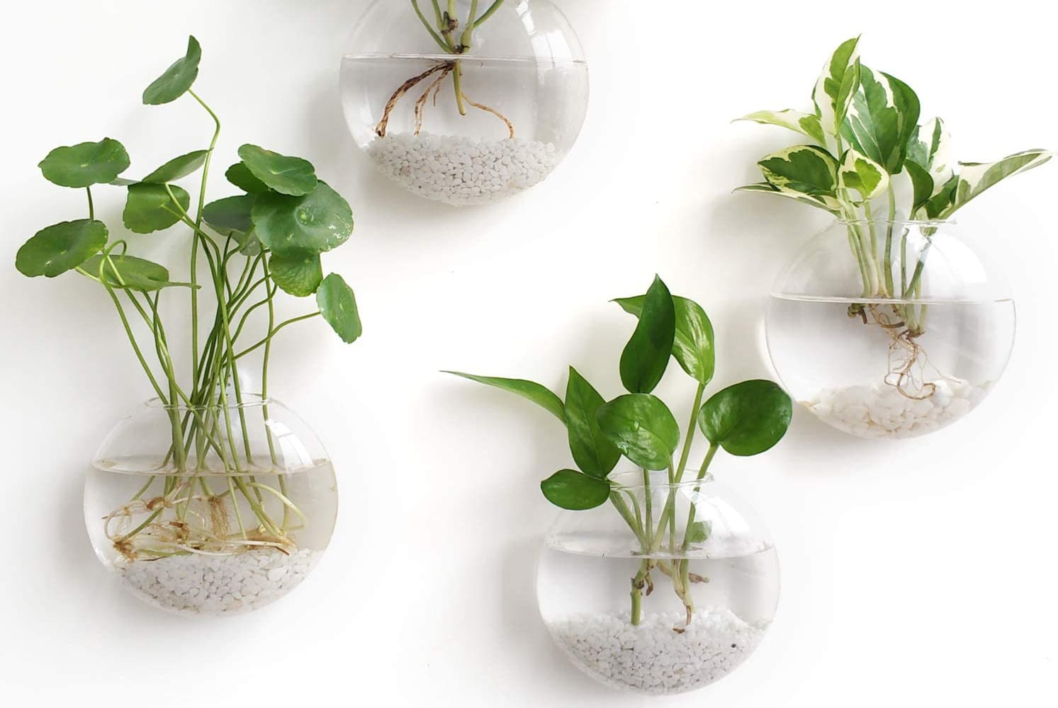 Indoor Hanging Garden Ideas