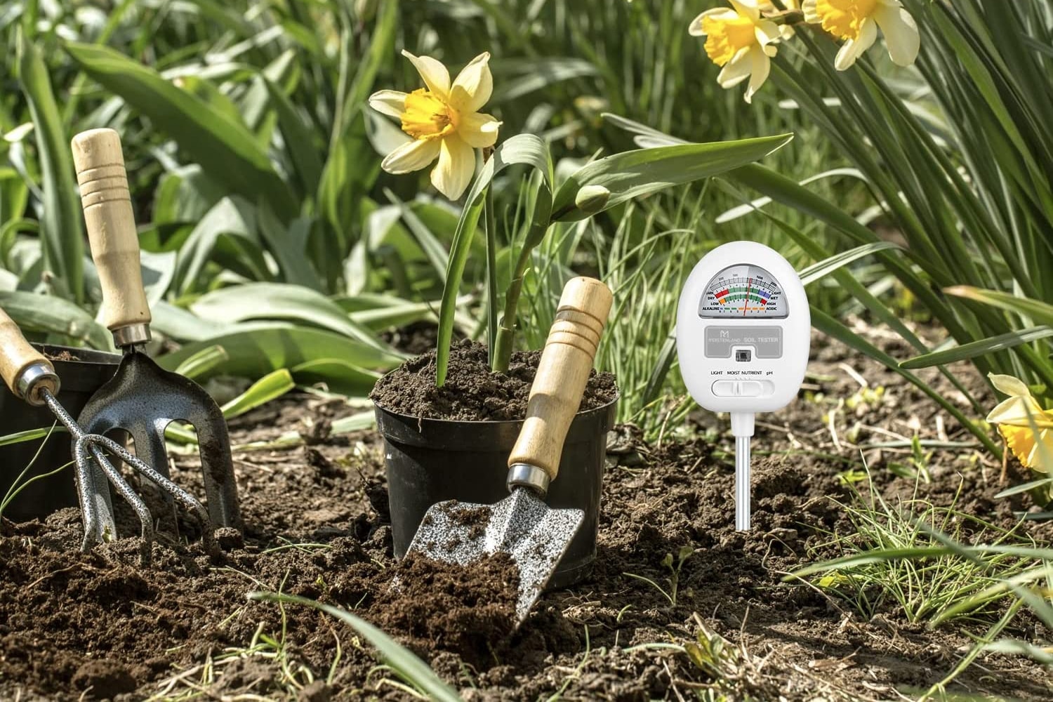 Moisture Meter for Your Plants