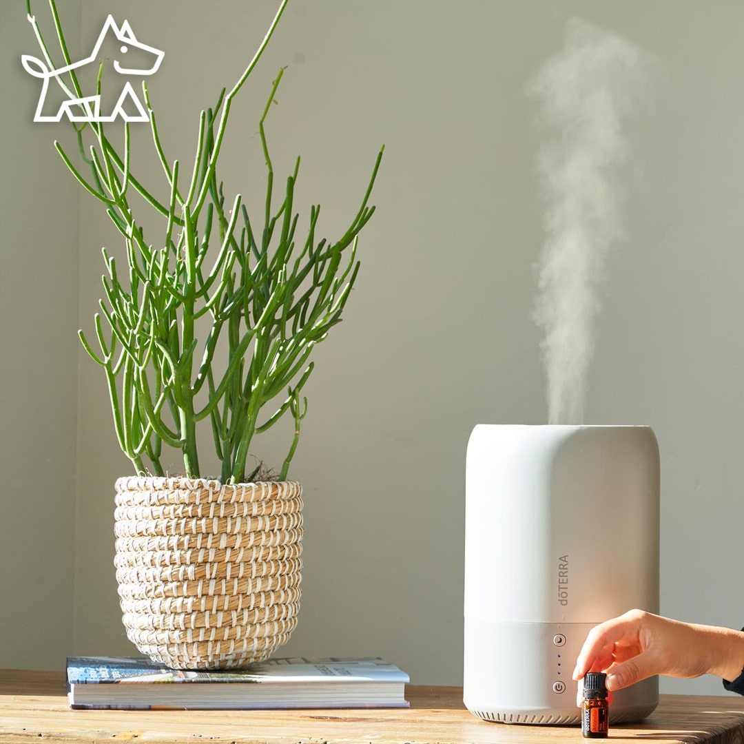 Best Humidifiers