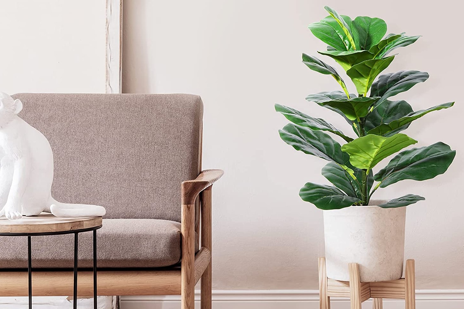 best indoor trees