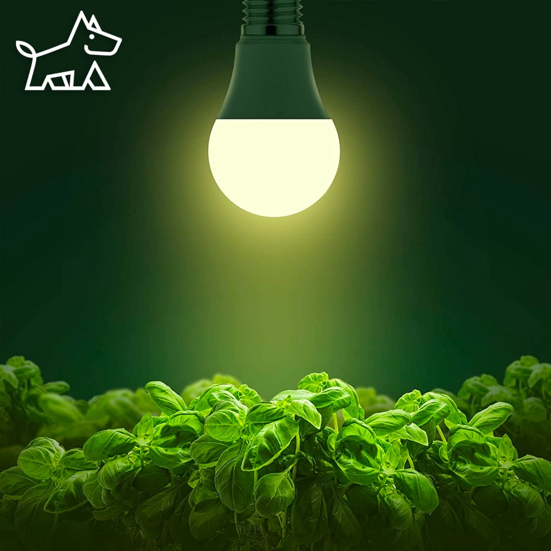How to Use Grow Lights for Indoor Plants