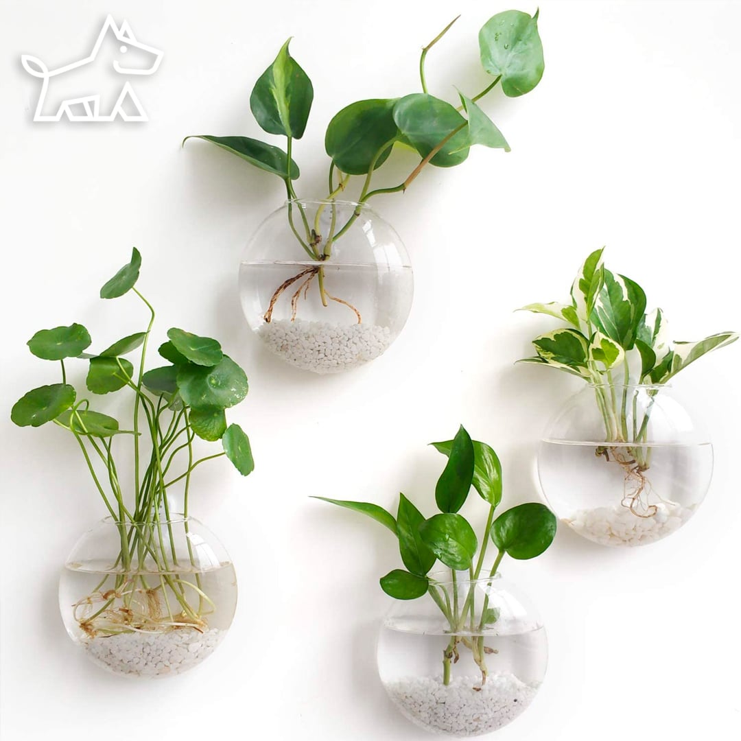 Indoor Hanging Garden Ideas
