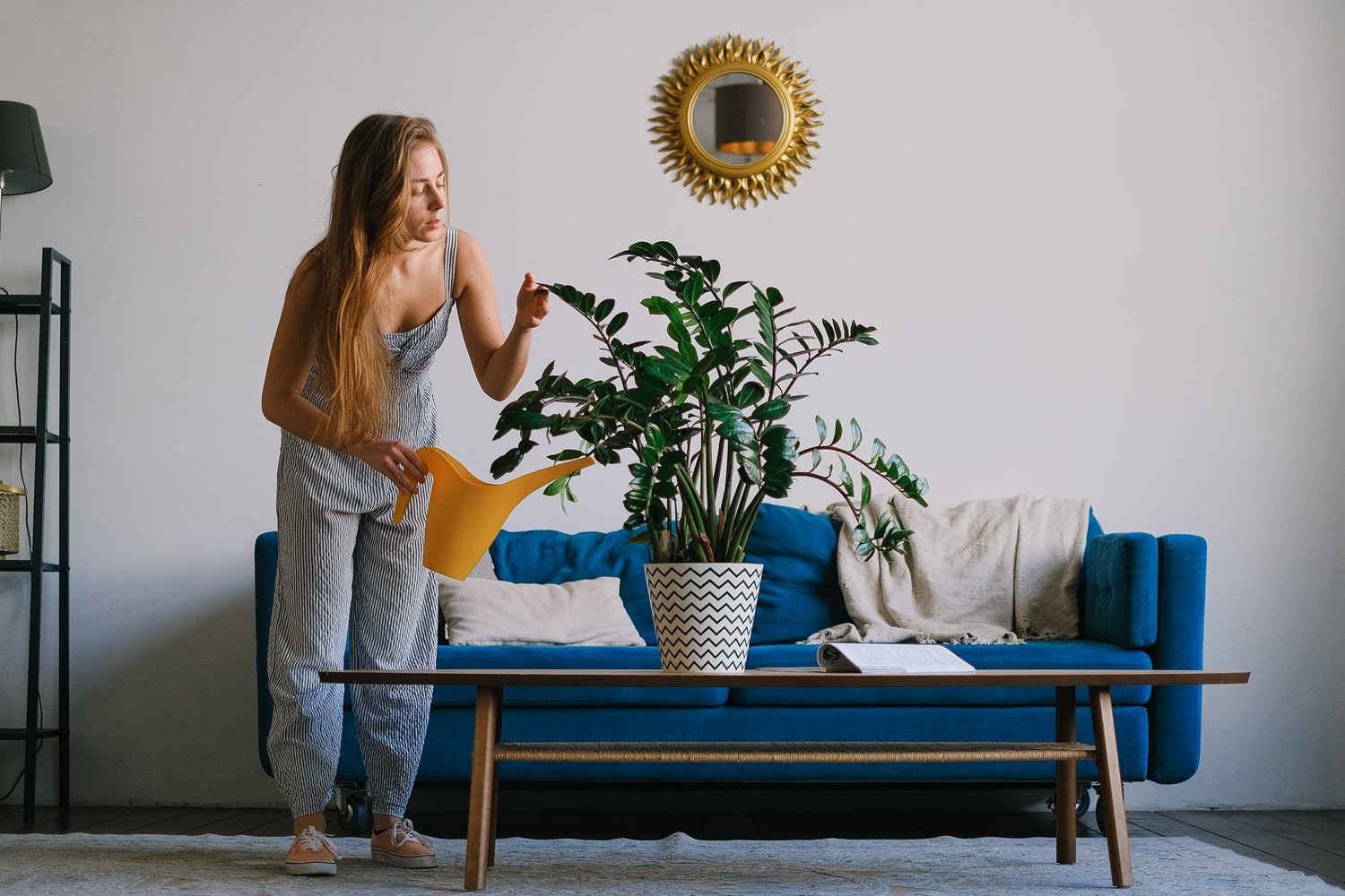 you should talk to your houseplant
