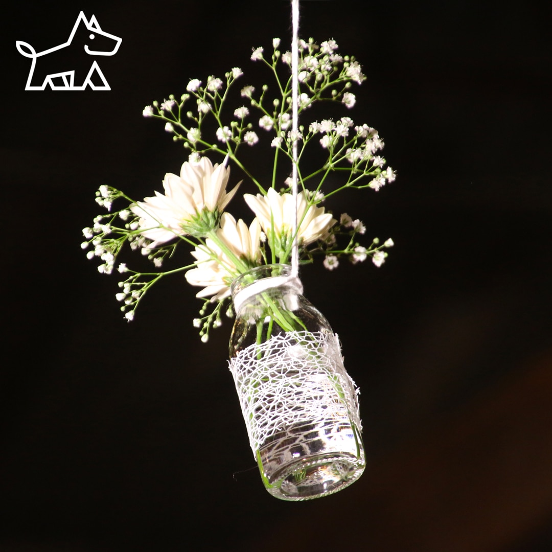 care for hanging plants