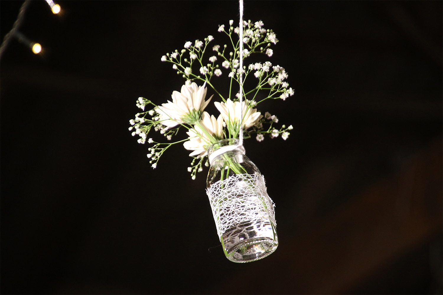care for hanging plants