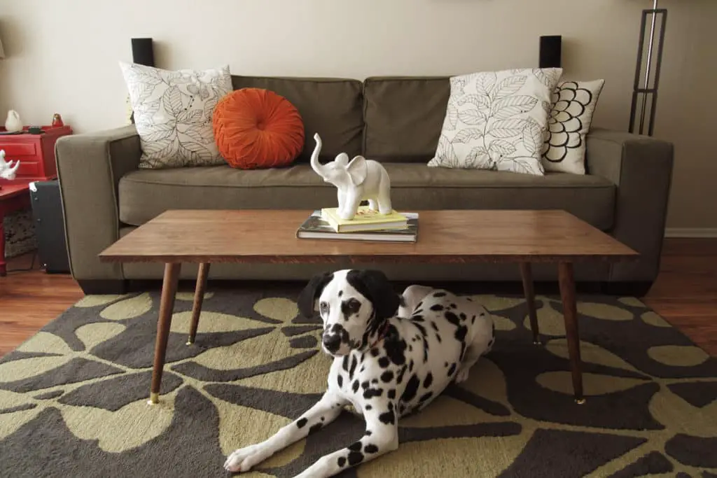 DIY Mid-Century Modern Coffee Table