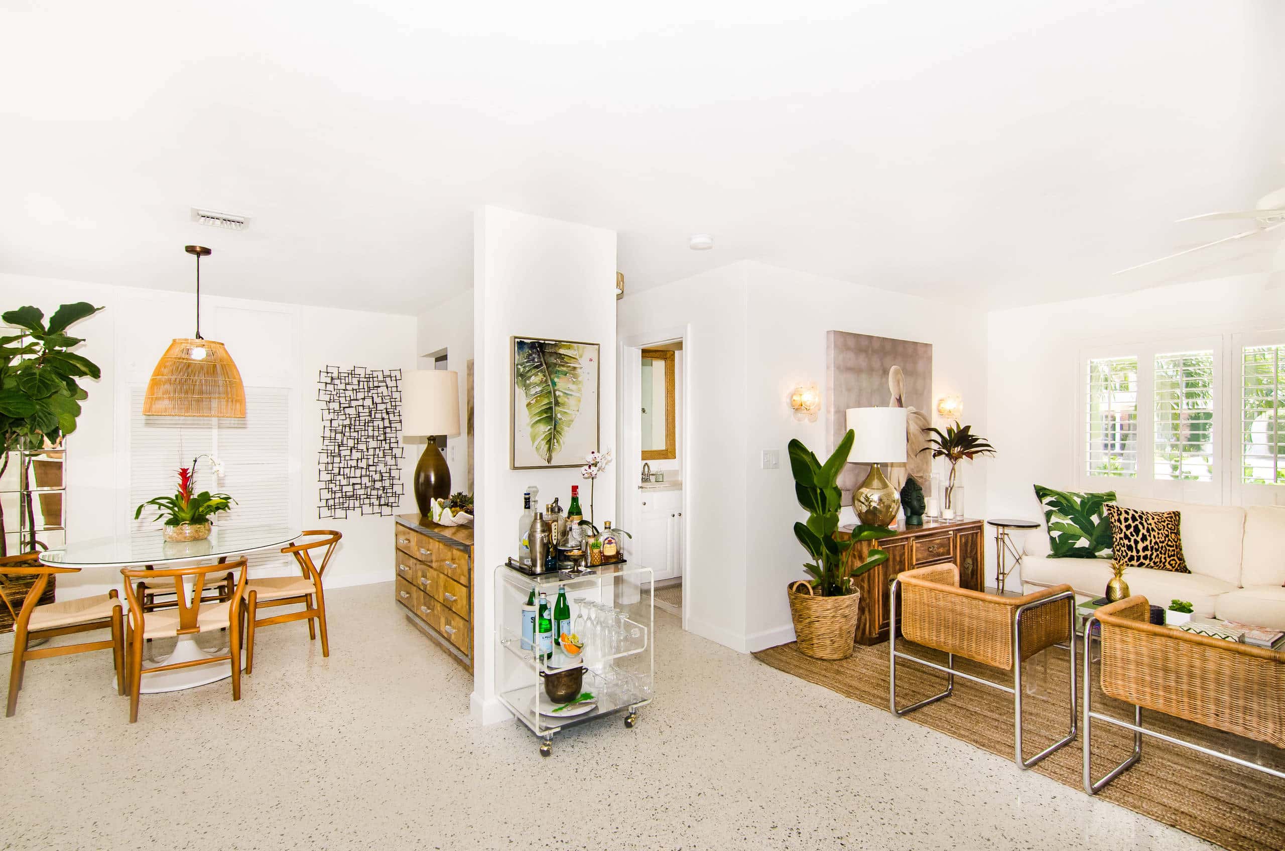 Houseplants