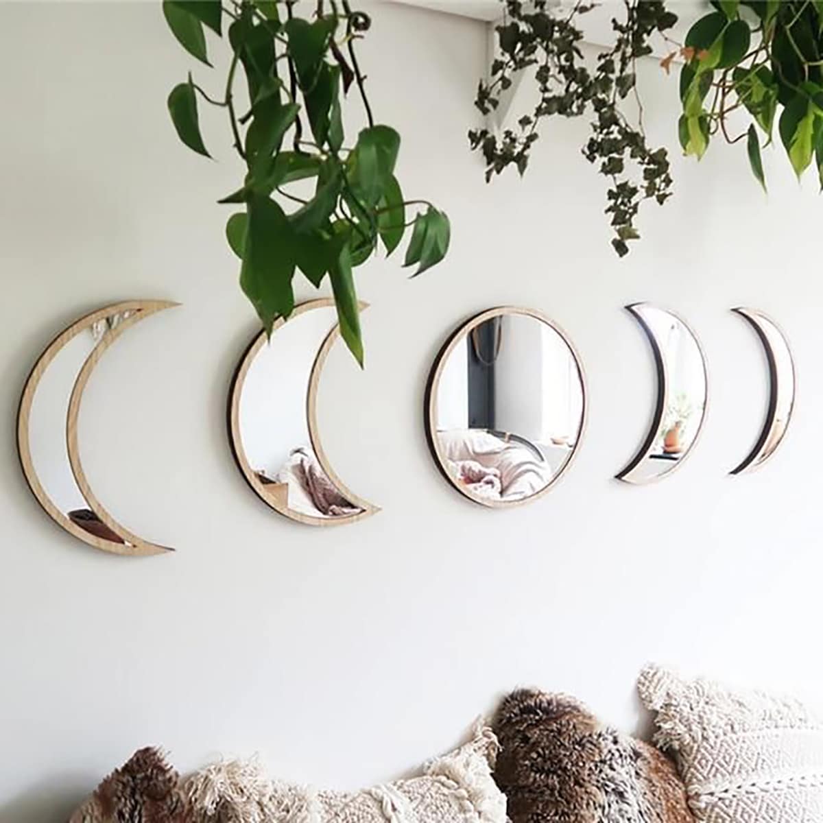 mirrors on a light colored wall with plants hanging