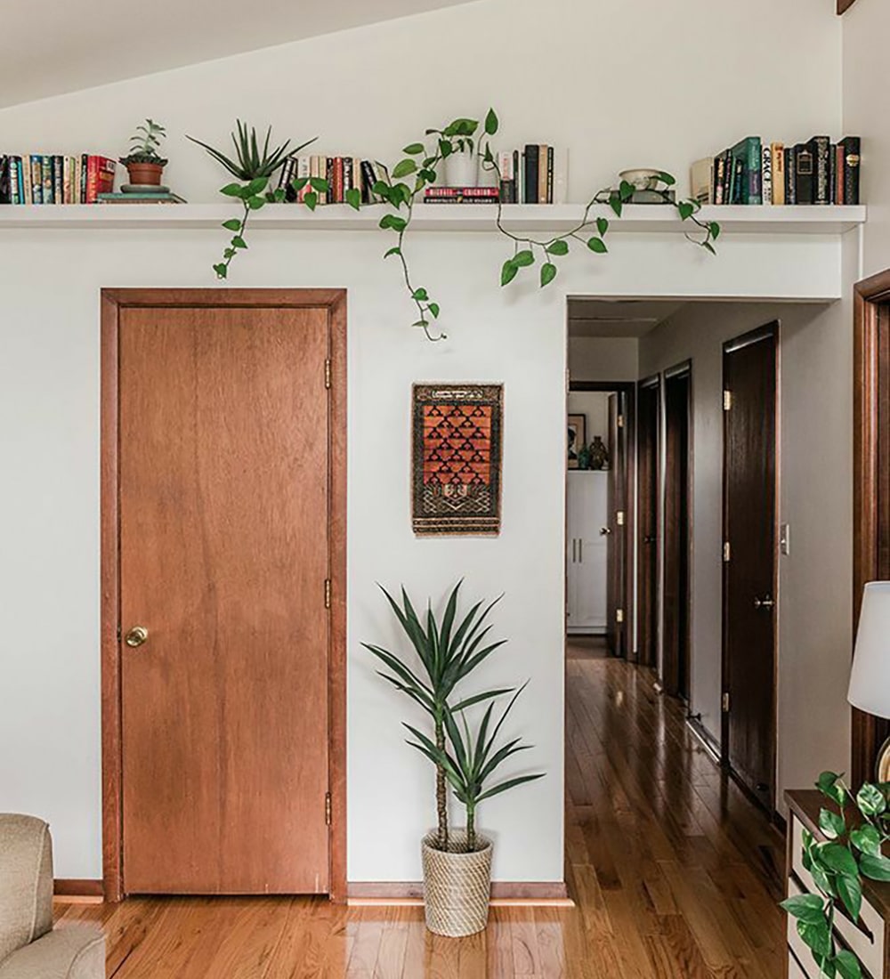 above door shelf decor with plants and books