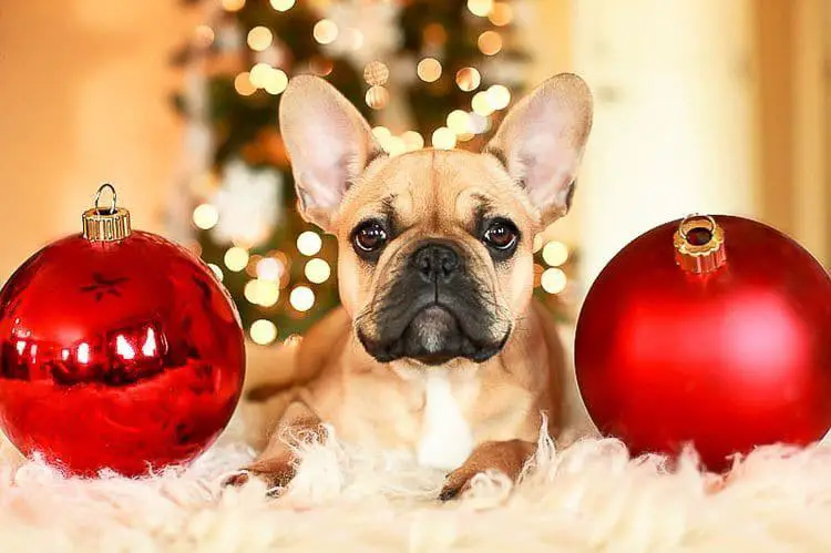 When to Decorate for Each Holiday