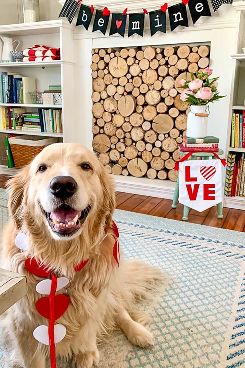 dog in christmas decor copy