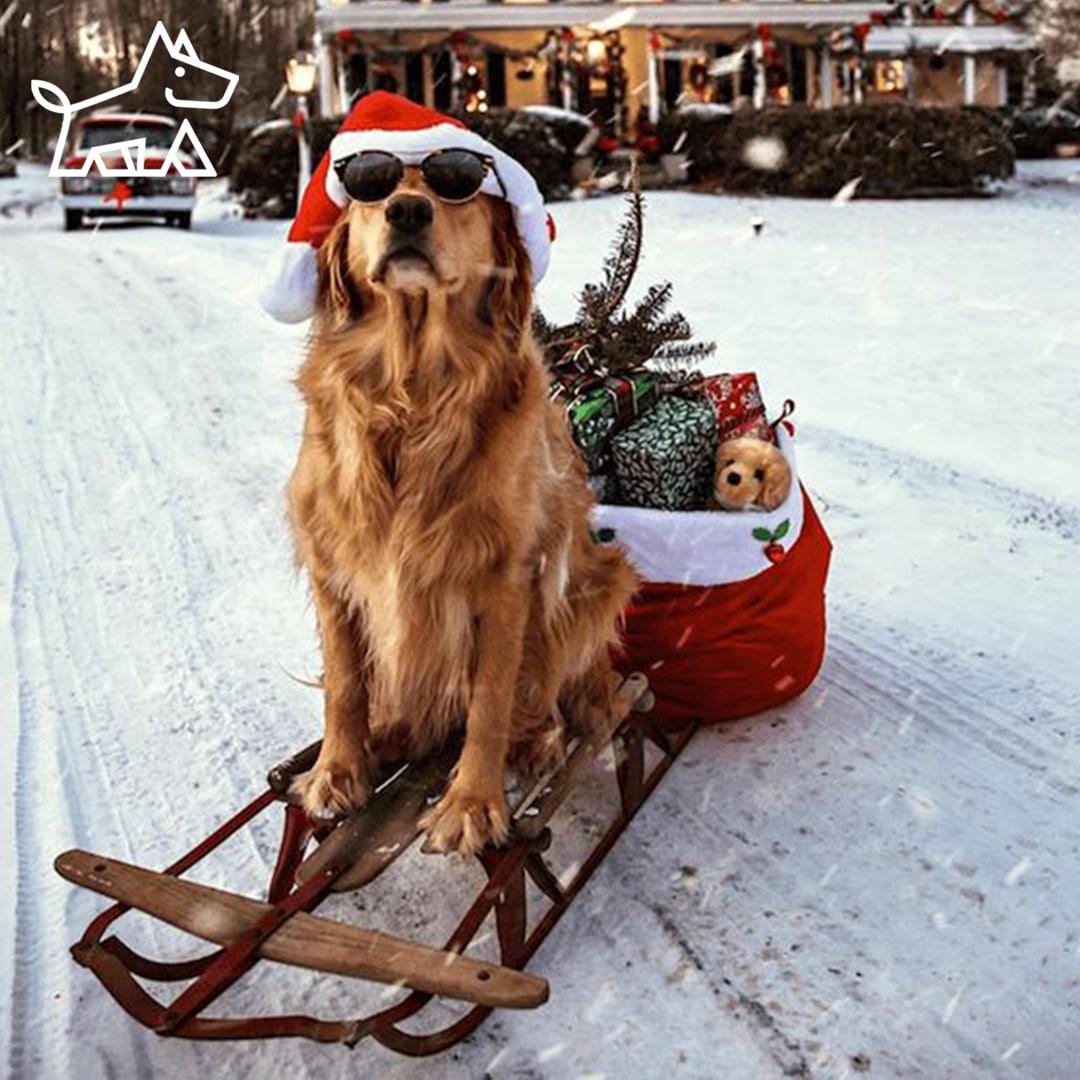 When to Decorate for Each Holiday: Your Guide to a Festive Home