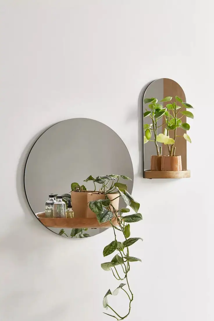 Add a Shelf with Plants