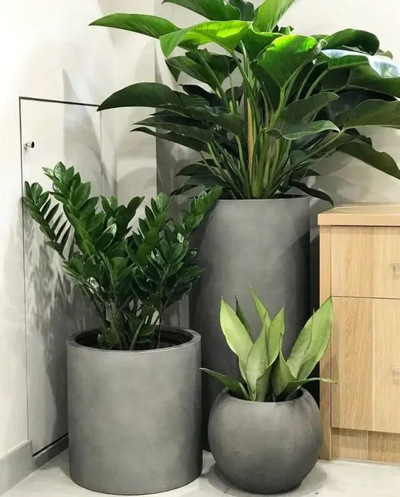 Hide it with Planters