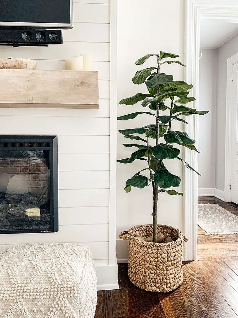 Hearth/floor Decor Options: