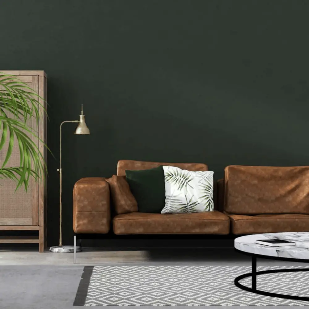 brown furniture green wall
