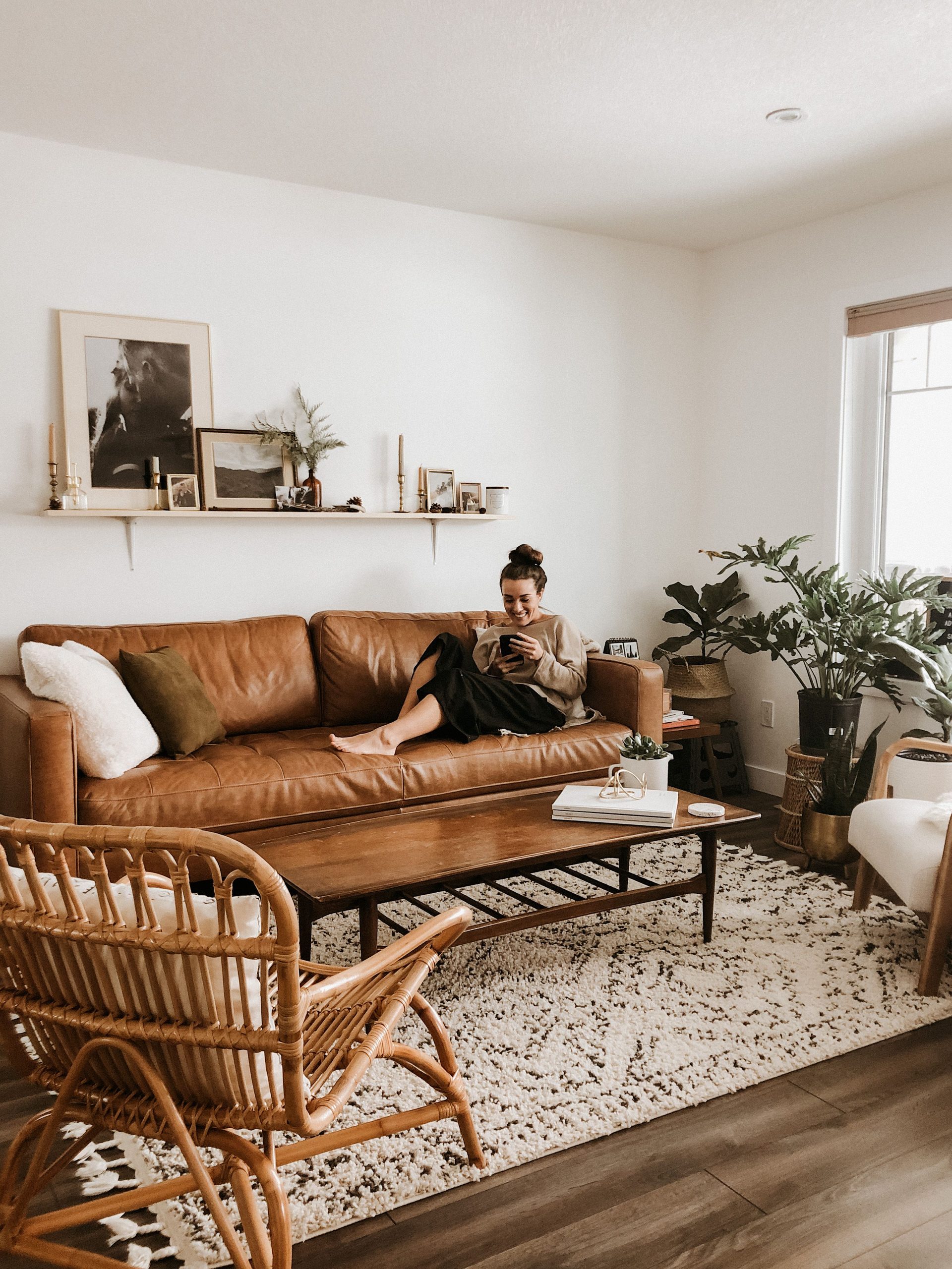 Room and Furniture Natural Color Palettes