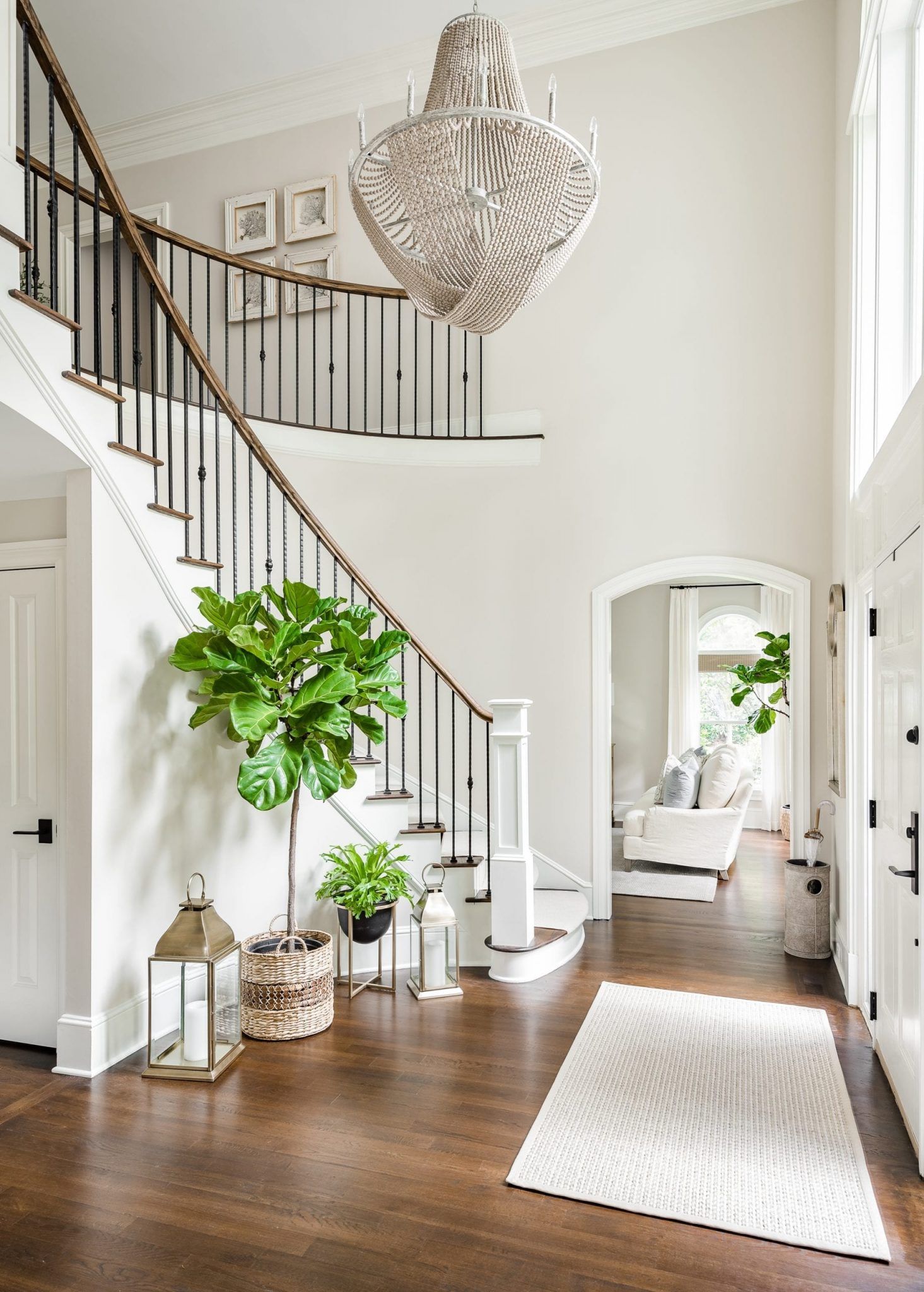Include Pet-Friendly Houseplants