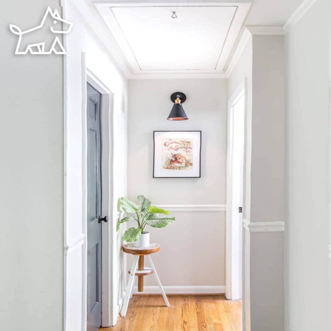 How to Hide Attic Door in Ceiling – Tips and Tricks