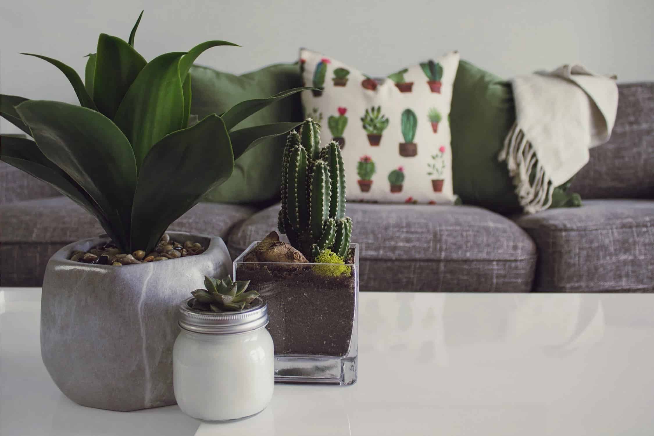 Arrange your Plants in Small Groups