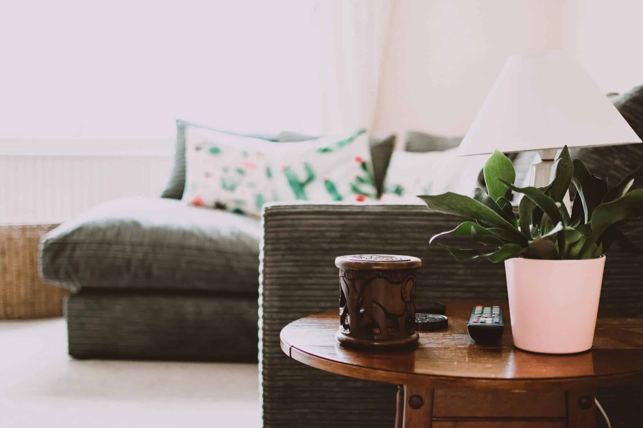 Play with Textures when Arranging Plants in your Home