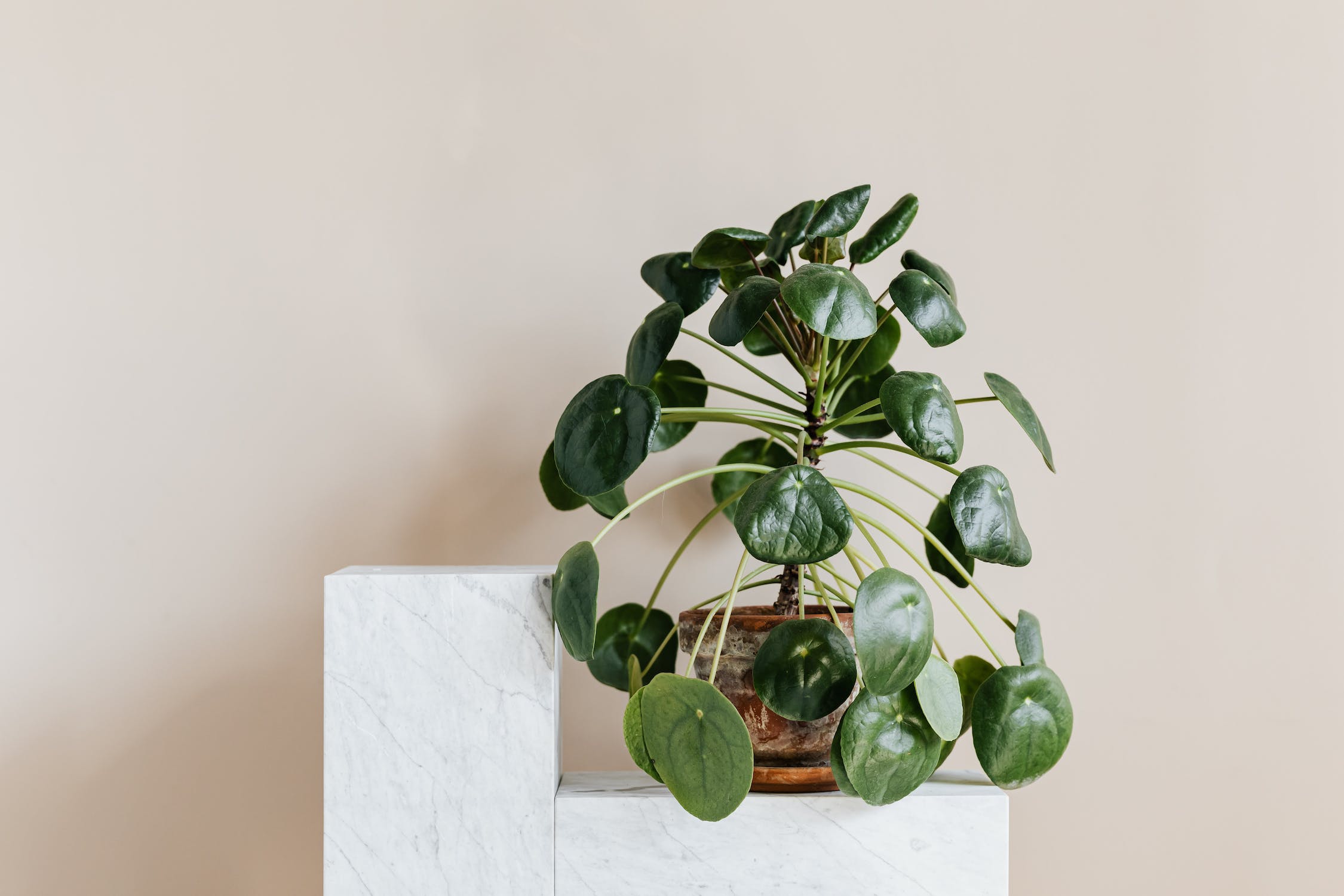 Mantelpiece