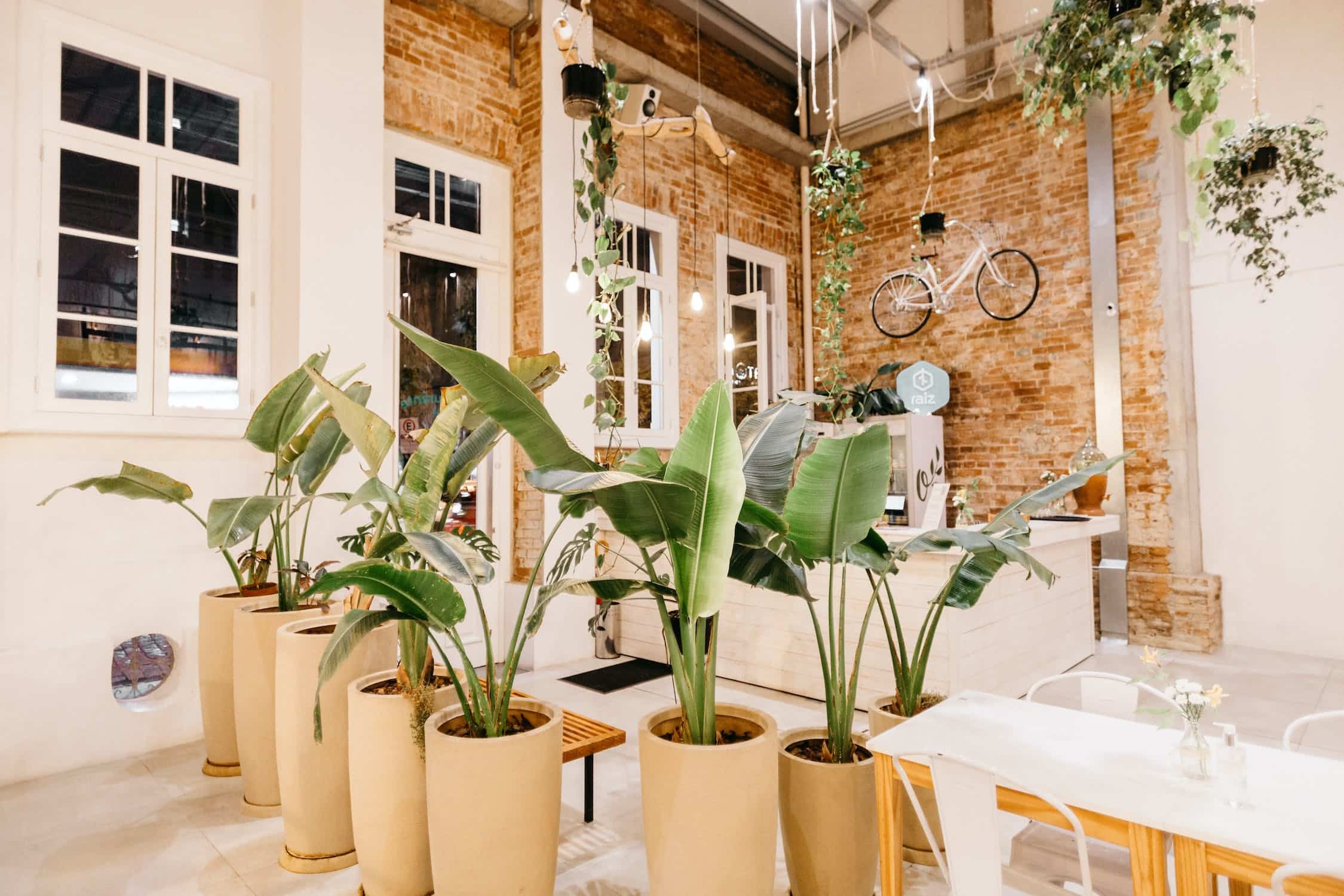 Think about Arranging Plants on the Floor