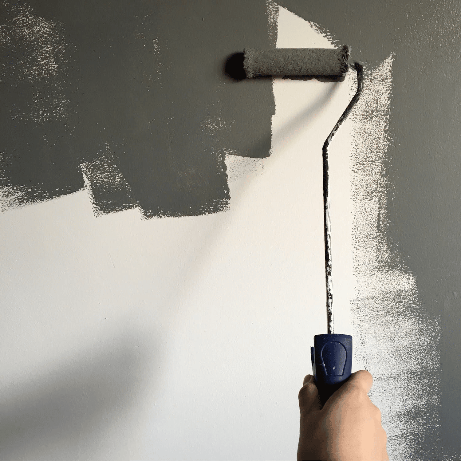 Will you Paint the whole Bedroom or just a portion of it?